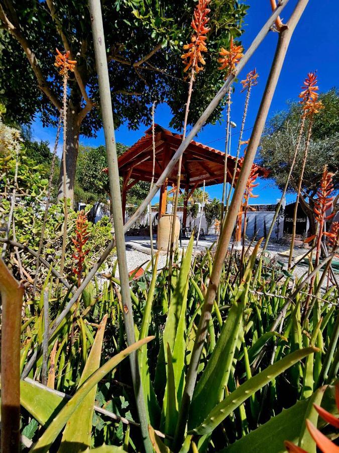 Chalet Alicante Sol Y Luz 圣维森特德尔拉斯佩奇 外观 照片