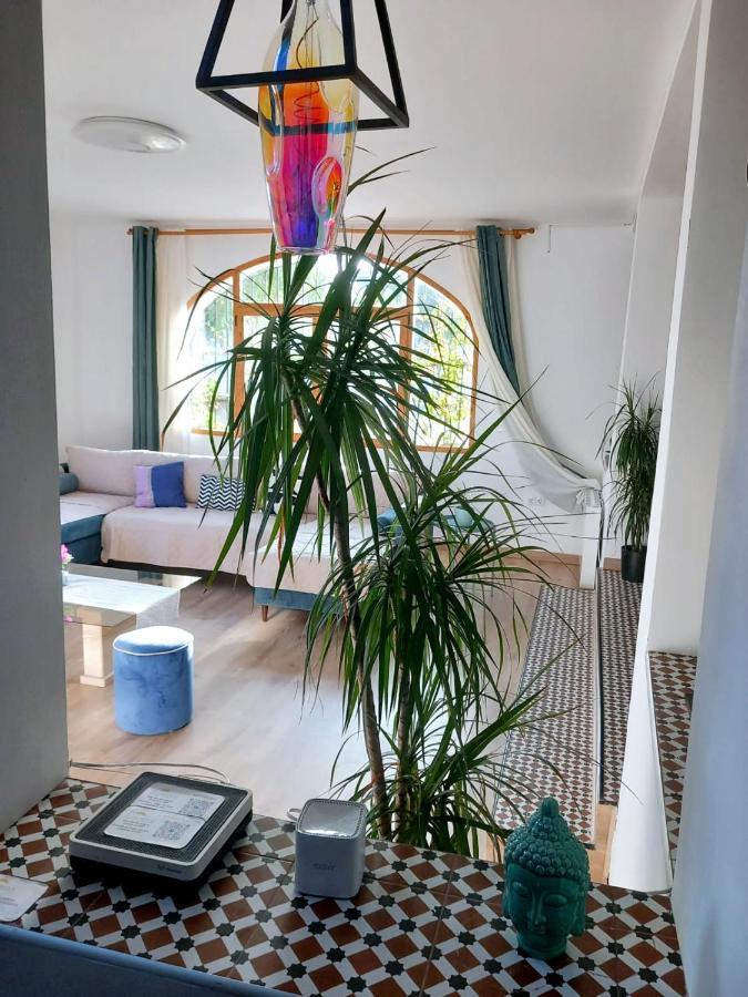 Chalet Alicante Sol Y Luz 圣维森特德尔拉斯佩奇 外观 照片